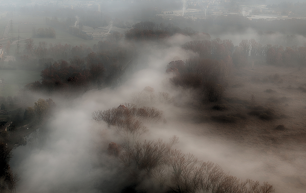 La nebbia, i confini persi di giancarlo65