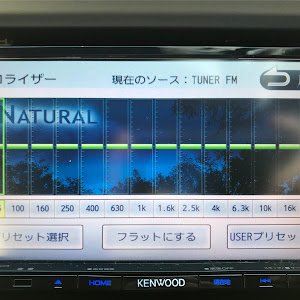 フィット RS