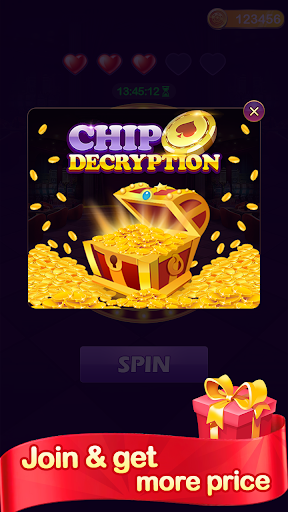 Chip Decryption 2