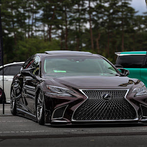 LS GVF50