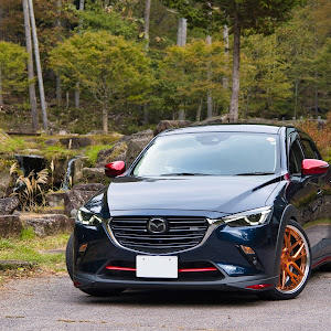 CX-3 DKEFW