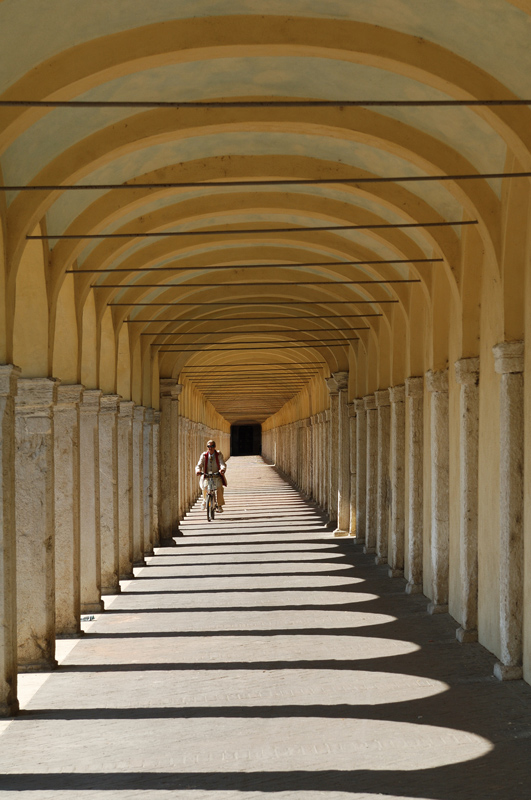 La Bicicletta di francescomartini