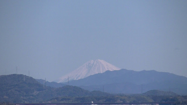 今日も遠鉄ストアへ