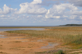 madal Võrtsjärve veetase Vehendi rannas