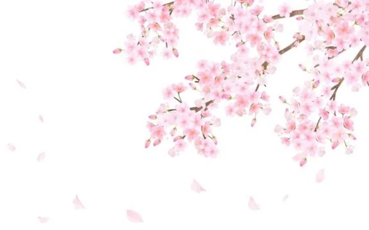 「桜の綺麗なあの場所で、」のメインビジュアル