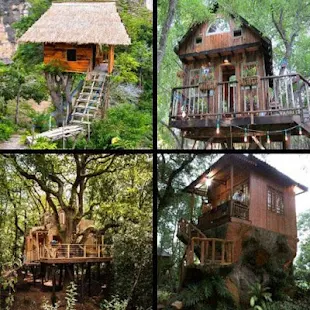 Ide Rumah Pohon(圖3)-速報App