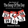 BEATNIK TURTLE