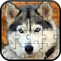 Husky Jigsaw Puzzle icon