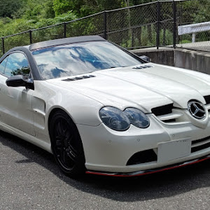 SL SL500