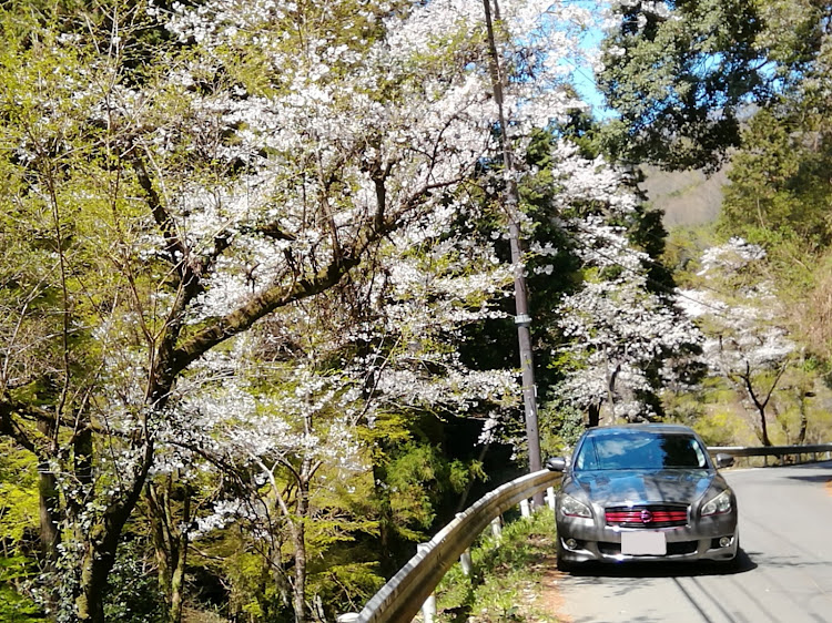 の投稿画像14枚目