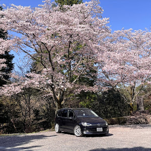 ゴルフトゥーラン TSI