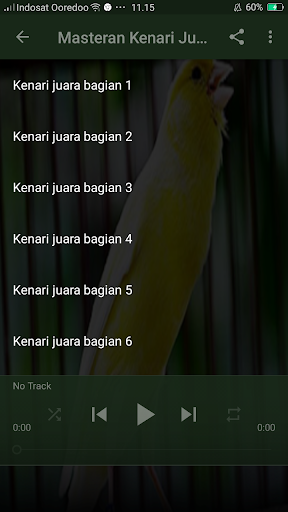 Masteran Kenari Juara
