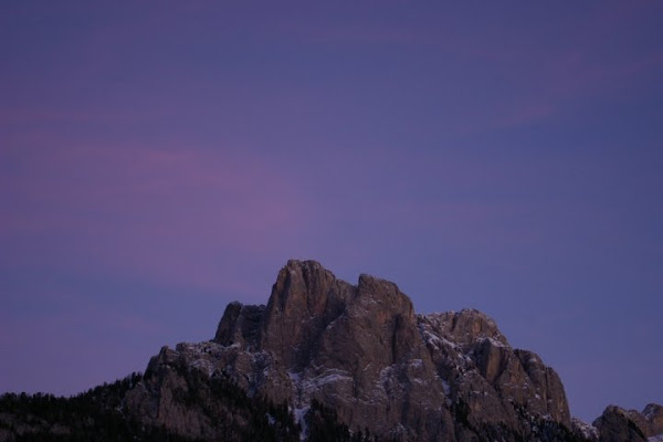 Viola sul monte di Pitbast