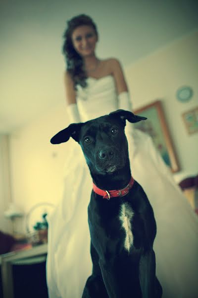 Photographe de mariage Marcin Kurowski (kurowski). Photo du 25 mars 2014