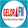 Radio Gelora FM Trenggalek icon