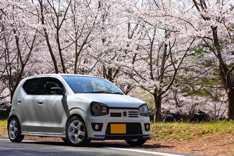 アルトワークスの桜と愛車・4月もよろしくお願い致します🌸・ゾロ目逃した･･･😭・事故から復活に関するカスタム事例の投稿画像3枚目