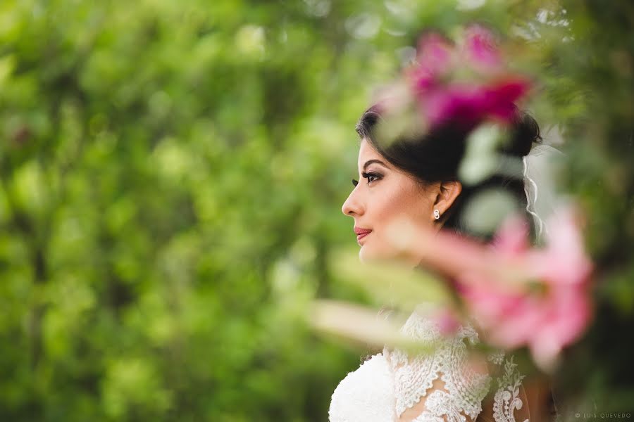 Wedding photographer Luis Quevedo (luisquevedo). Photo of 13 June 2018