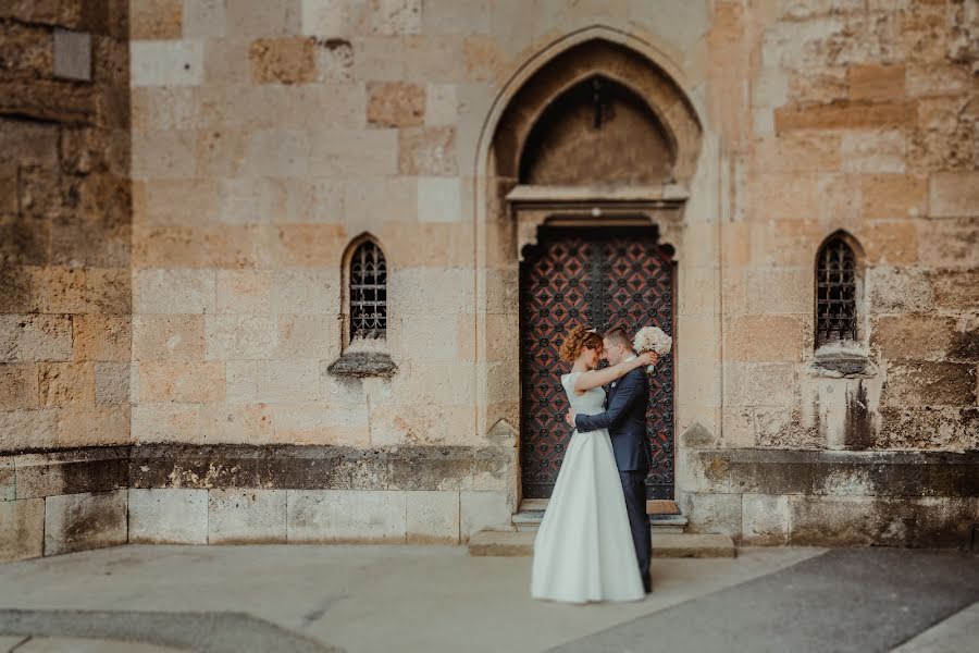 Svatební fotograf Vedran Tolić (tolic). Fotografie z 8.ledna 2019