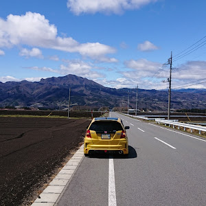 フィット GP4