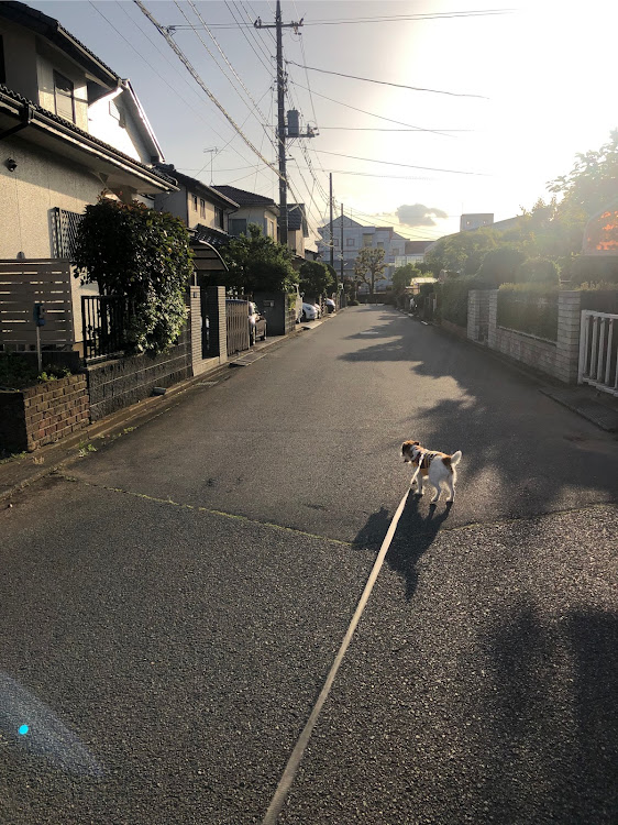 コペンの愛犬はラパンさんが投稿したカスタム事例の投稿画像8枚目