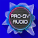 PRO-SY Audio icon