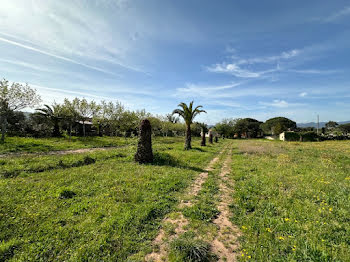 terrain à Frejus (83)