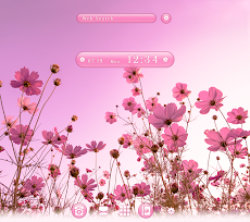 キレイな壁紙アイコン コスモスとピンクの空 無料 Androidアプリ Applion