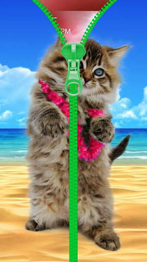 免費下載娛樂APP|Cats lock screen. Zipper. app開箱文|APP開箱王