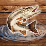 Cover Image of Télécharger Fishing Rain - Fishing Online 0.0.1.2 APK