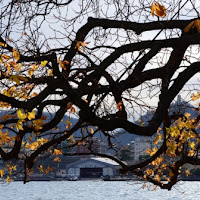 Sole dautunno inatteso di 