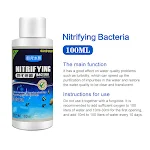 Nitrifying bacteria