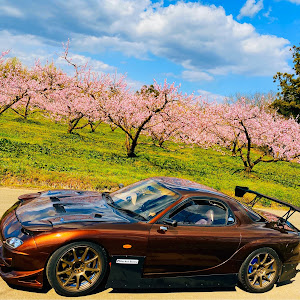 RX-7 FD3S 中期