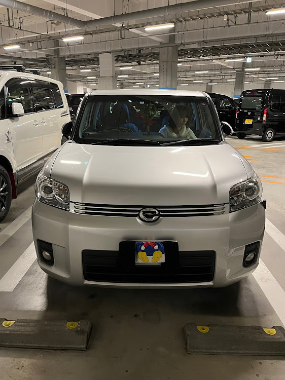 カローラルミオンのTDL・駐車場・今年もあとわずか・盛れ・バックに関するカスタム事例の投稿画像2枚目