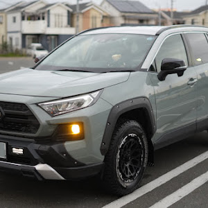 RAV4 AXAP54