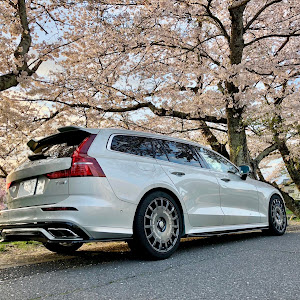 V60 T5