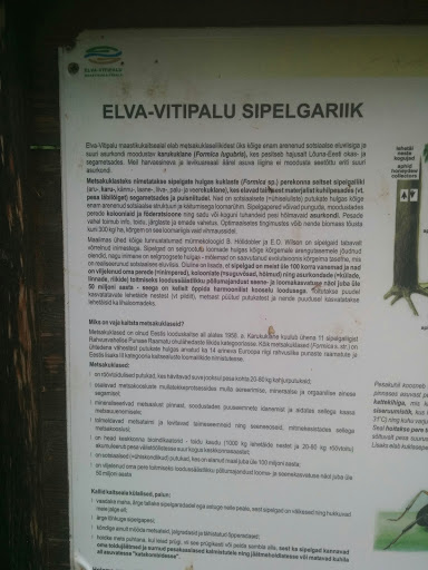 Vitipalu Sipelgariik