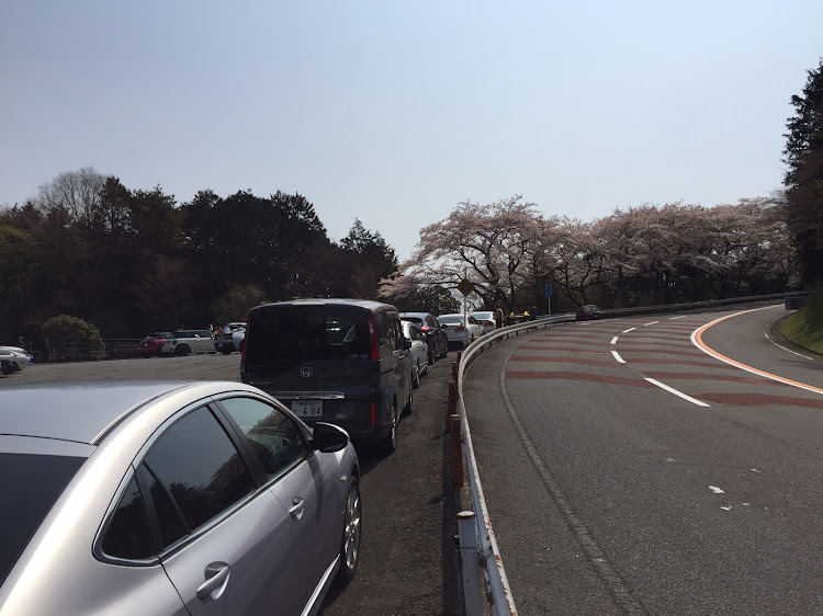 ケイタンさんが投稿した代車紹介・ドライブ・モニター・箱根ターンパイクに関するカスタム事例の投稿画像4枚目