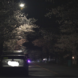 プリウス ZVW50