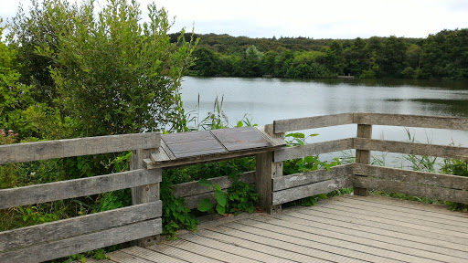 Hardelot, Ponton d'observation 