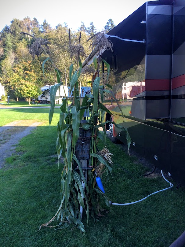 Shortly after we arrived, we headed out for a haircut for me and a bite to eat, and when we got back, they had decorated the power post at our site.