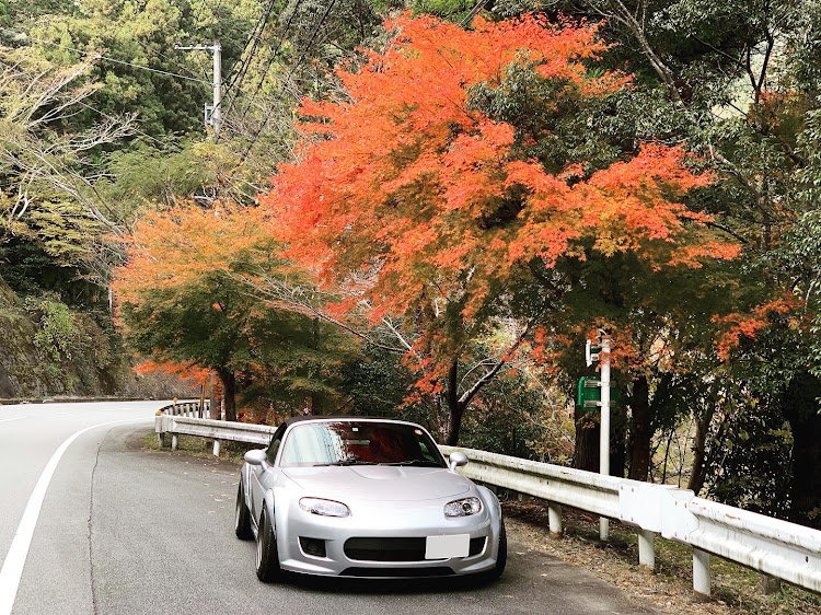 ロードスターの紅葉探し・ハゼノキ・🐂🥩が有名な市に関するカスタム事例の投稿画像2枚目