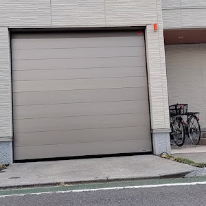 ルーテシア