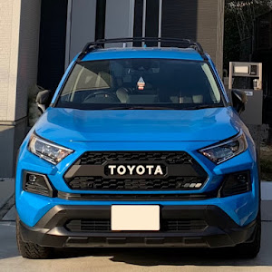 RAV4 MXAA54