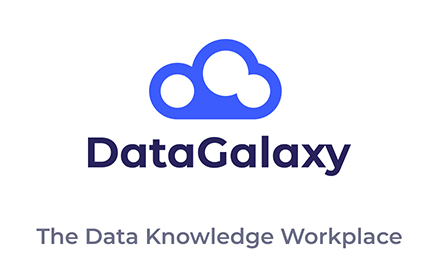 DataGalaxy Preview image 0