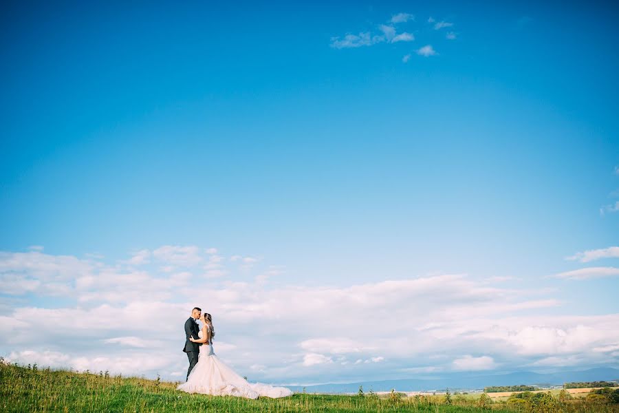 Wedding photographer Albert Palmer (albertpalmer). Photo of 6 September 2016