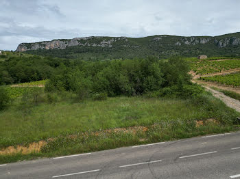 terrain à Saint-Bauzille-de-Putois (34)