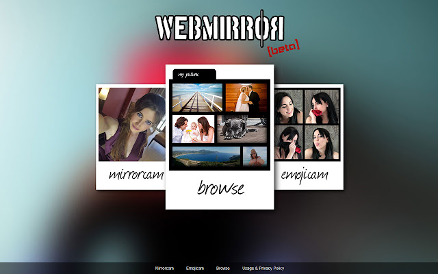 WebMirror chrome extension