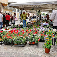 mercato dei fiori di 