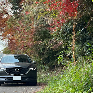 CX-8 KG2P