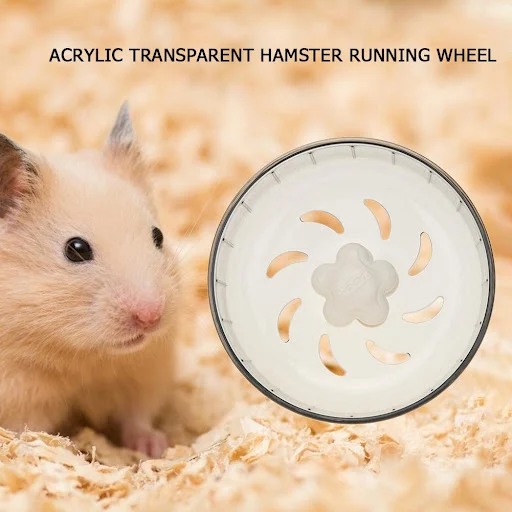Hamster Running Wheels Transparent Hamster Wheel Running Jogging Treadmill Silent Small Pet Supplies Exercise